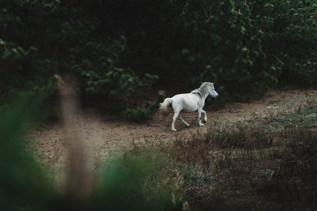 African Unicorns Emerge Amidst Stunted Seed-Stage Growth