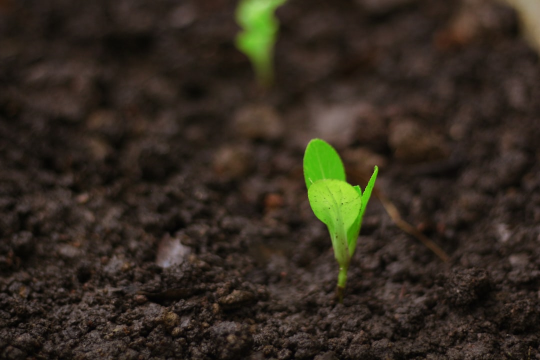 Aions Ventures Seeds South Africa's Tech Boom with $6.1M Fund