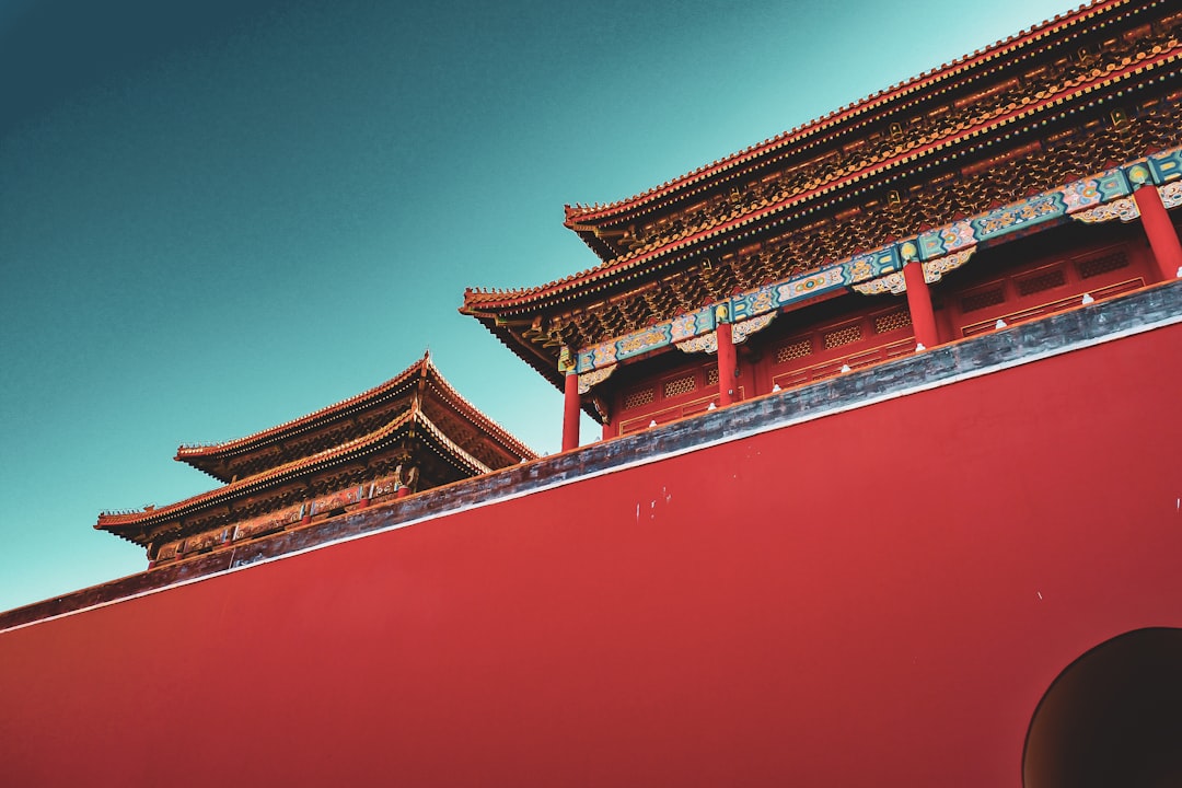 China-Africa digital partnership poised to further fuel market expansion