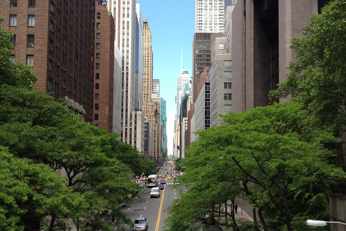 Egypt's Ban on Roblox Highlights Escalating Tensions Between Gaming Platforms and State Regulators