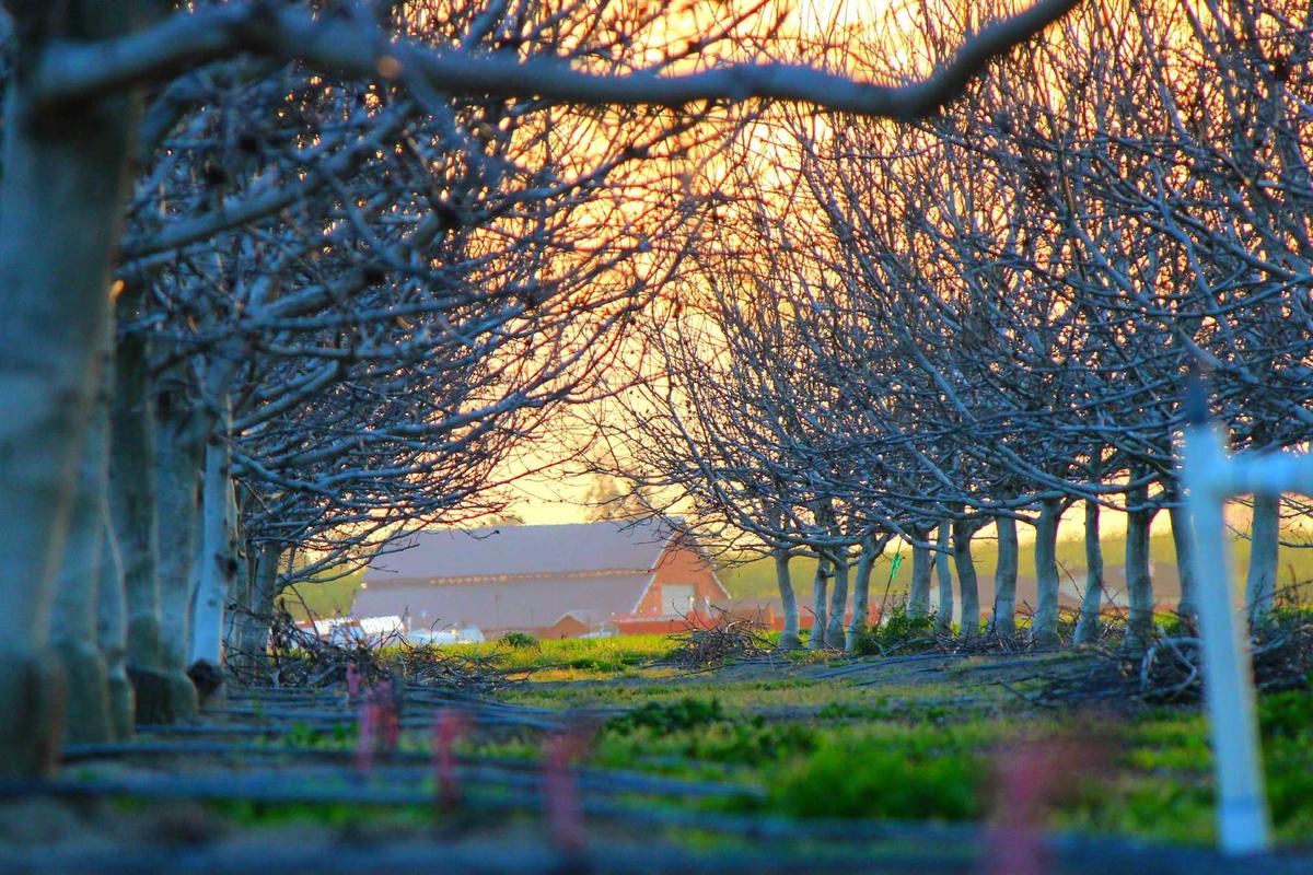 Electra Mining Africa set to convene key industries.