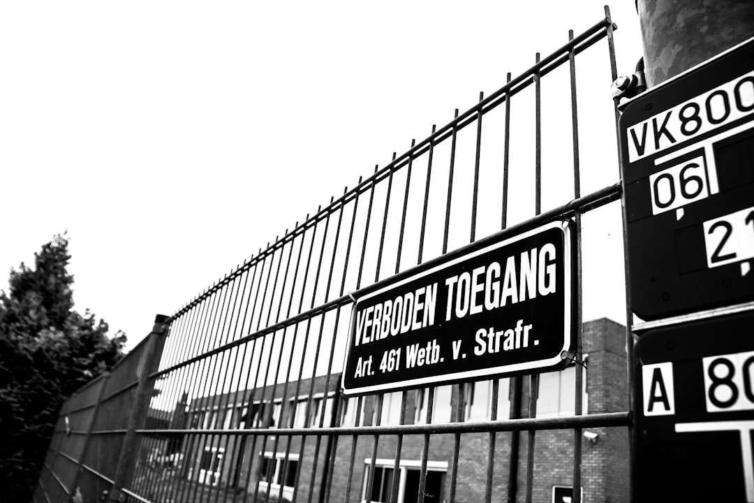 Flutterwave's $75 Million Denial Exposes Nigerian Investment Regulatory Grey Area