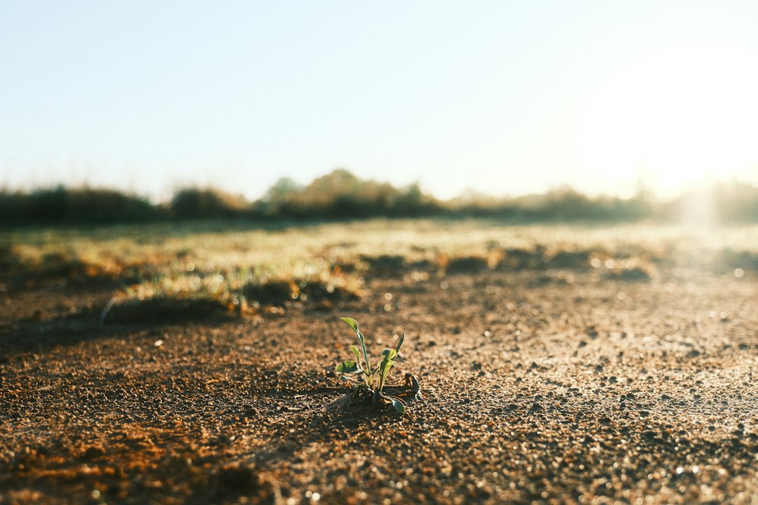 Ground Up Investing's $6M Close Signals Africa's Agricultural Tech Upsurge