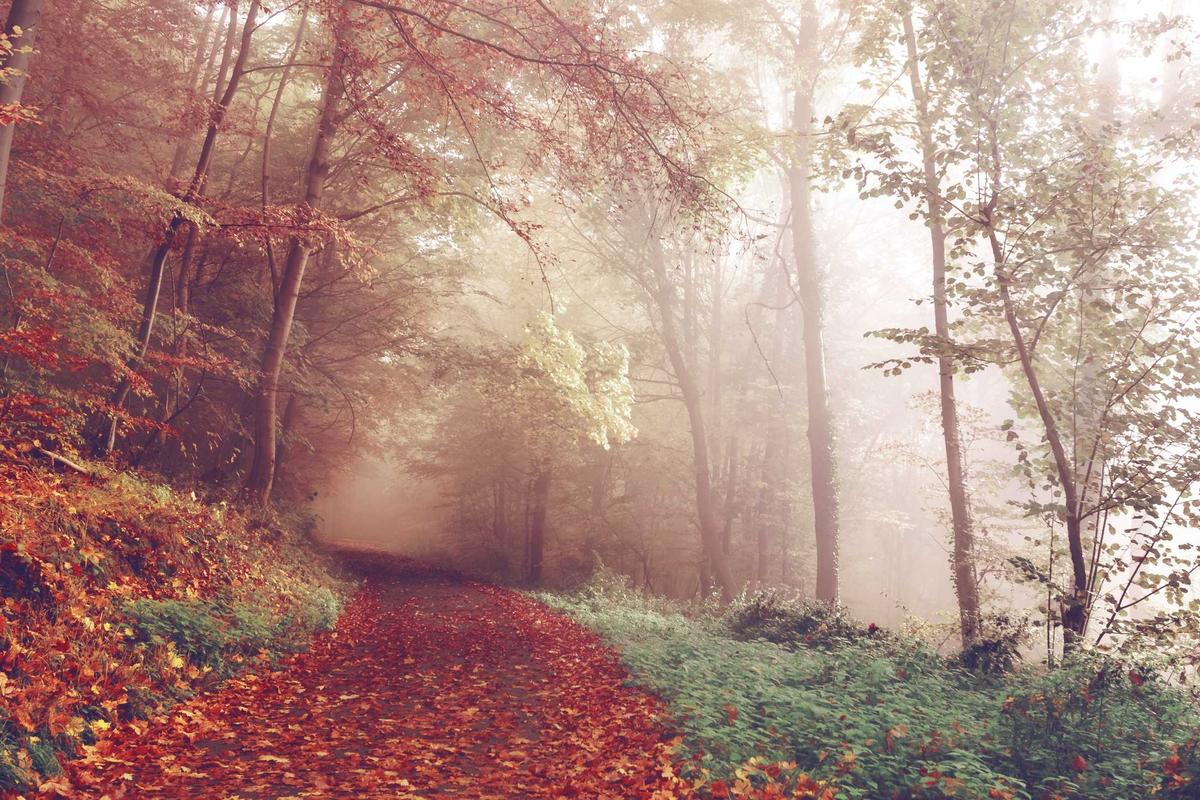 Intersolar Africa & South Africa’s Energy Outlook Position Nairobi as Emerging Regional Power Hub