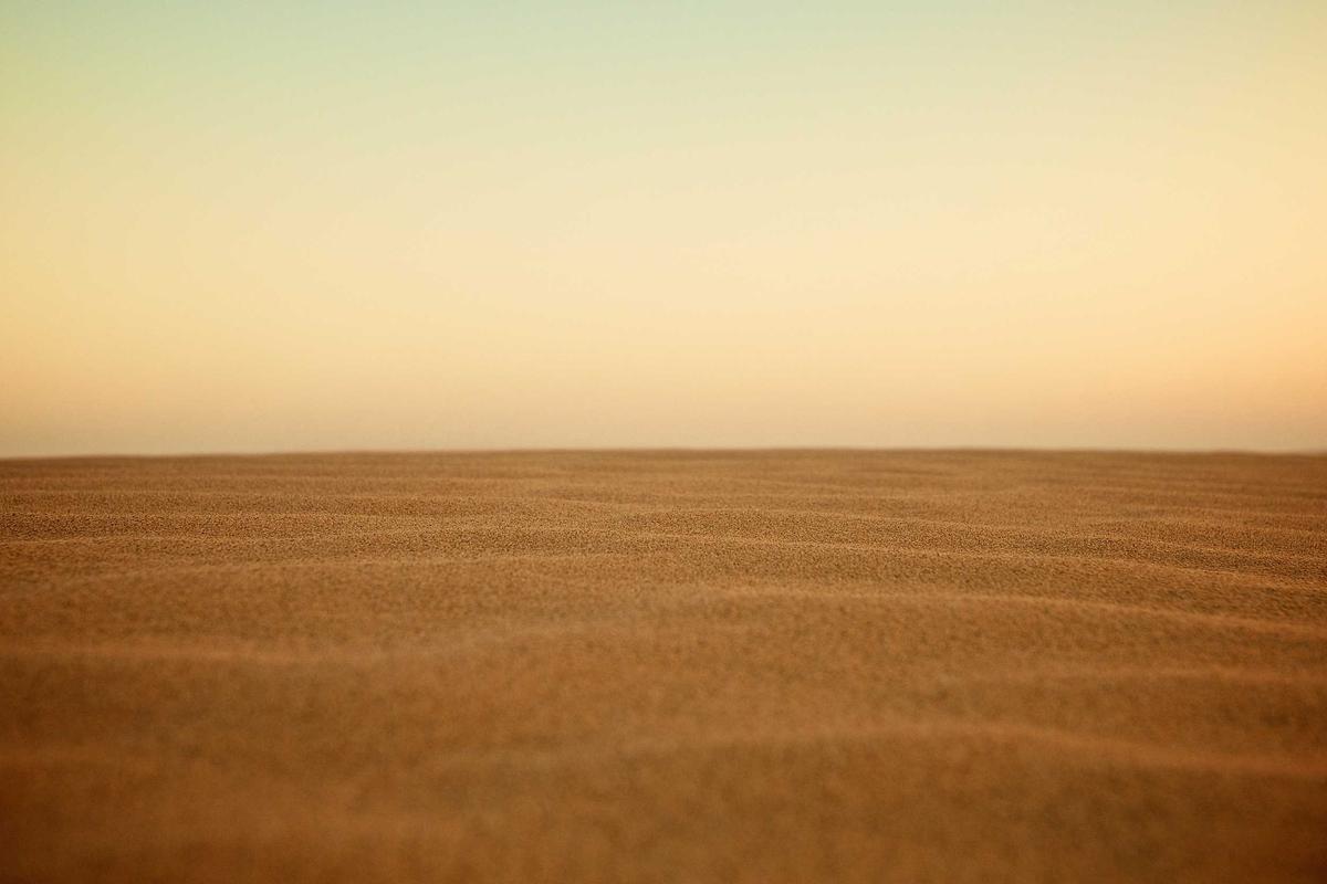 Nico Echavarria's Gear Switch Reinvents Cognizant's Winning Formula