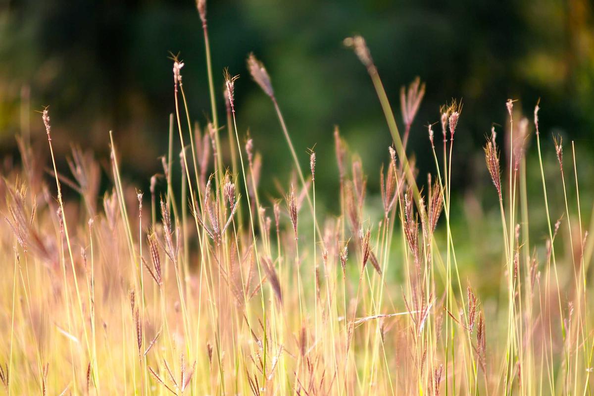 Nigerian Law Firms Converge on AI as Competitive Edge