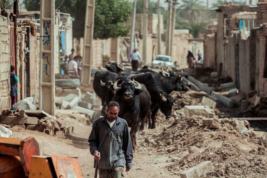 Nigeria's Startup Lead Falters as Funding Plunges 80% Amid Investor Shift