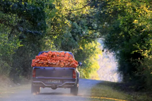 Africa’s Agritech Boom Is Running Into a Supply Chain Reality Investors Can’t Ignore